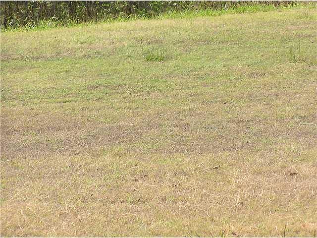 1st image of 6445 Ranch Dr NE Lot 1