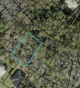 (Undisclosed Address), Palm Coast, FL, 32164