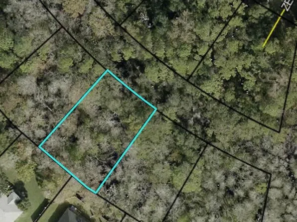 (undisclosed Address), Palm Coast, FL 32164