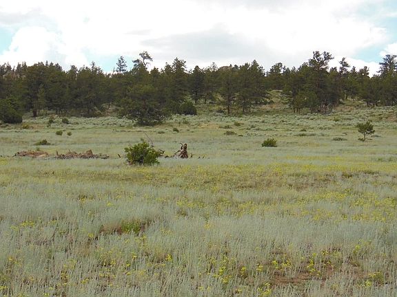 4th image of 5676 W County Road 68C