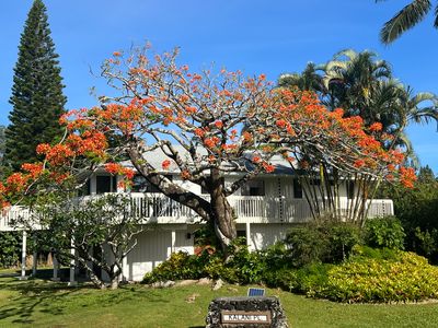 4160 Kalani Pl, Princeville, HI, 96722