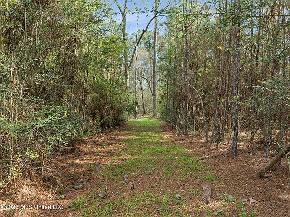 5th image of 9460 Janice Brooklyn Rd