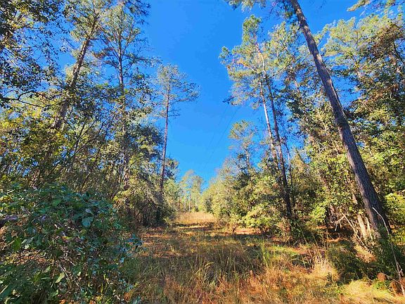 5th image of 284 SW Paradise Way