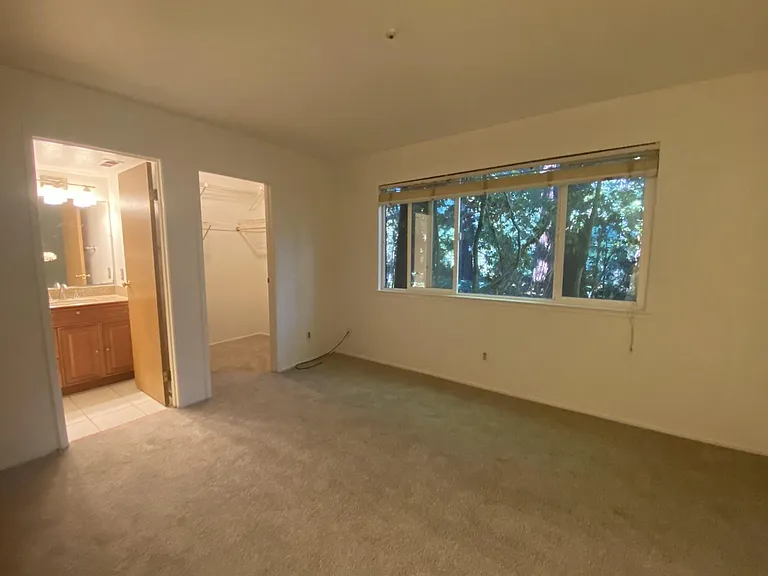 Bedroom set amongst peaceful redwoods.