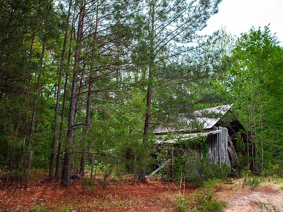 4th image of 1223 Appling Harlem Road
