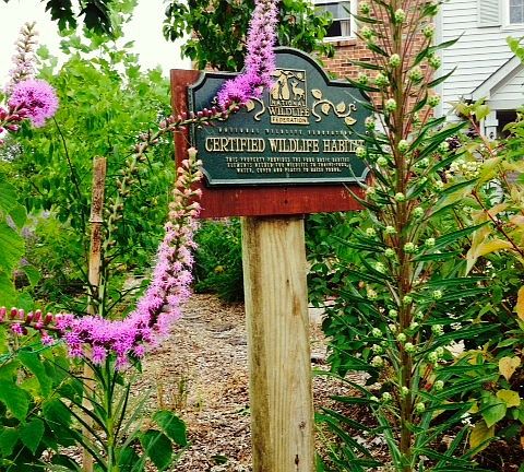 Certified Wildlife Habitat