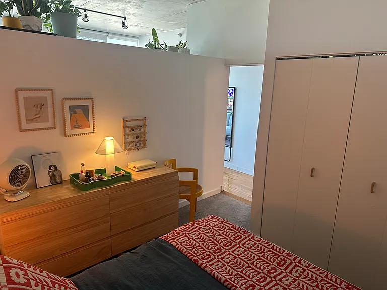 1720 S Michigan Ave #1517 — Photo 10