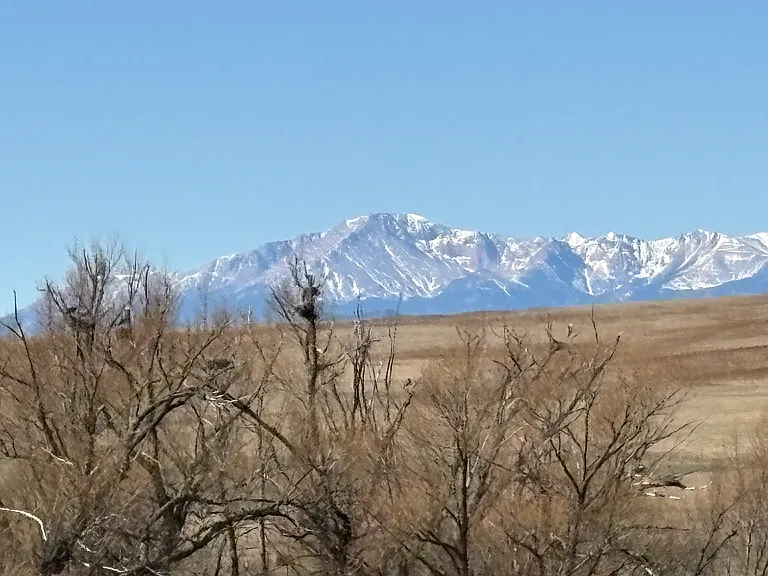 6685 S State Highway 83 — Photo 10