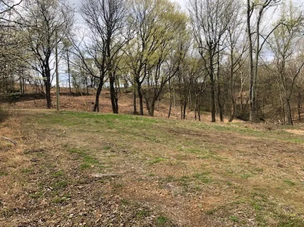 0 Garner Rd Lot 1, Mount Pleasant, TN 38474