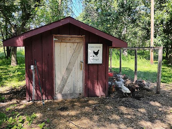 Chicken coop w/Electric 