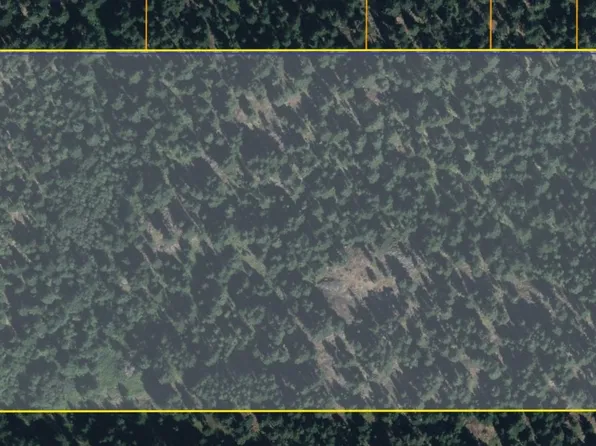 1111 tbd Forest Road, Oroville, WA 98844