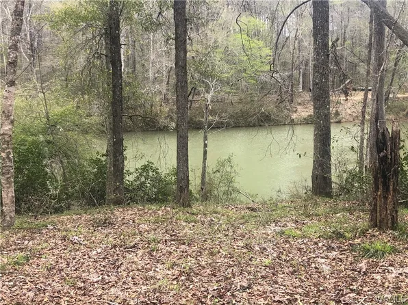 17328-17350 N Hagler Rd, Northport, AL 35475