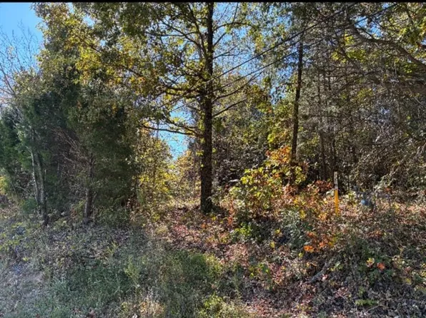 0 State Highway 171, Greenville, KY 42345