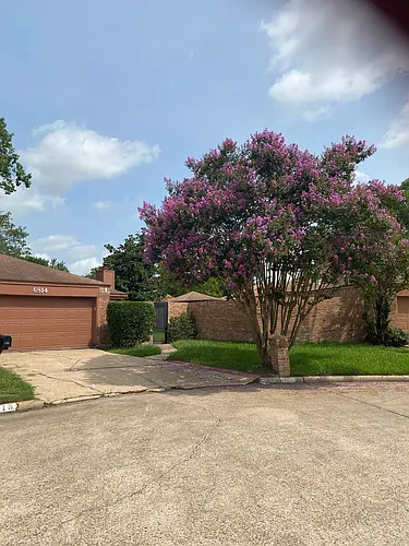 6814 Clee Ln Photo 1