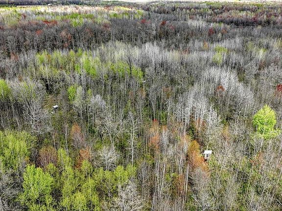5th image of 27.6 Acres off Helena Drive
