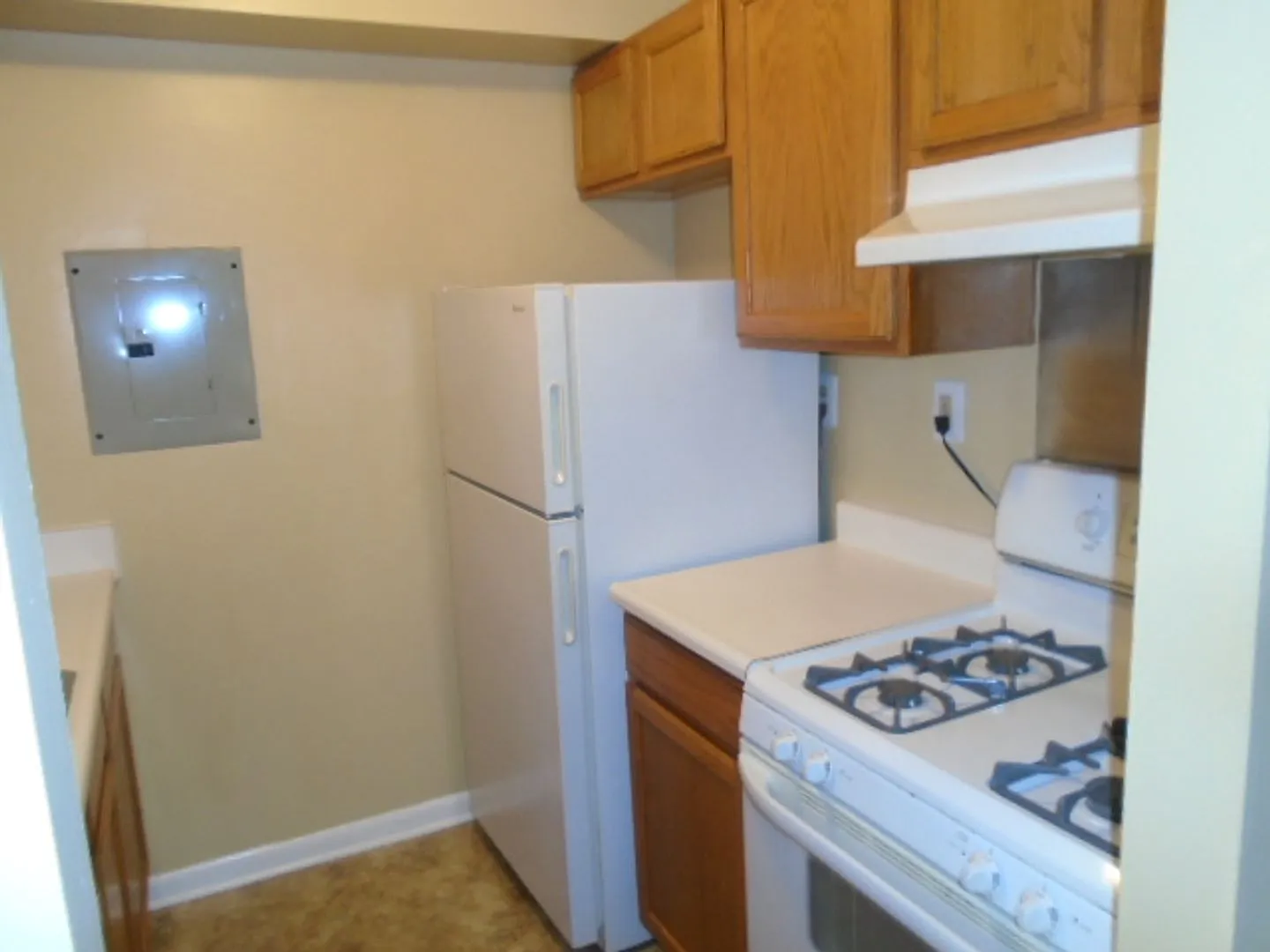 Maple View Apartments — Photo 4