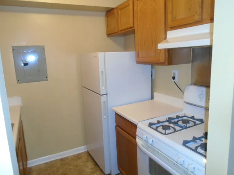 Maple View Apartments — Photo 4