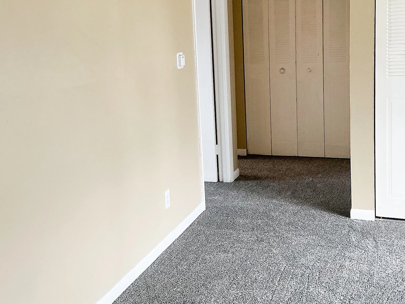 1 bed, 1000 sqft, $1,100 — Photo 3