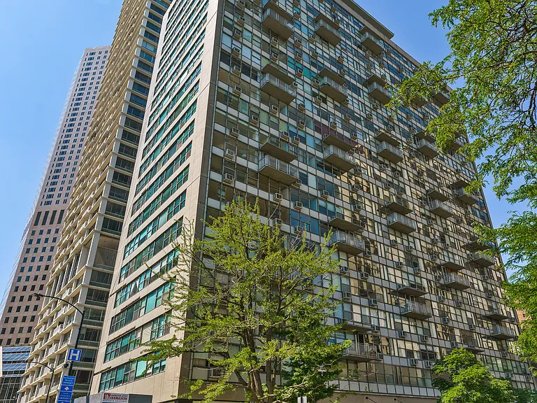 1000 N Lake Shore Dr #503 — Photo 13