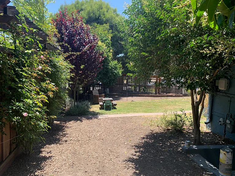 Side yard