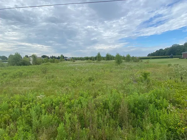 7400 Dryden Rd, Almont, MI 48003