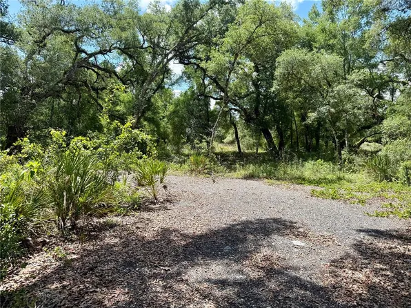 Long Cir Lot 10, Webster, FL 33597