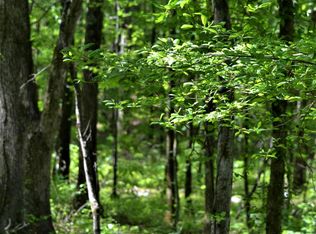 4800 Dry Creek Rd, Pell City, AL 35128