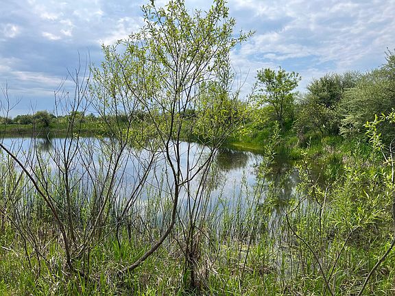 4th image of 305 E Johnson Rd