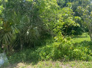 5271 Barhydt Ave, Port Orange, FL 32127