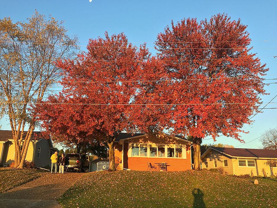 Fall colors