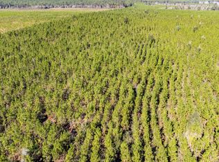 1 Long Rd, Defuniak Springs, FL 32433