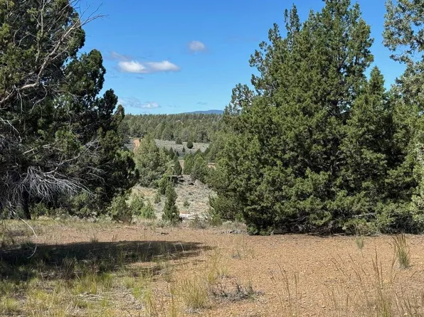 Apn 10 130 320 Davis Camp Laird Camp Rd, Macdoel, CA 96058