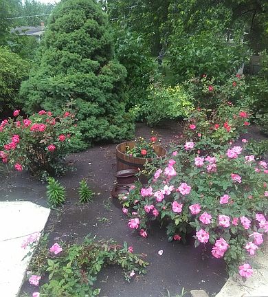 5th image of 22W053 Woodview Dr