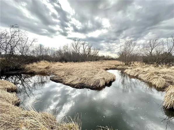 29.03 Acres County Rd U, Dallas, WI 54733