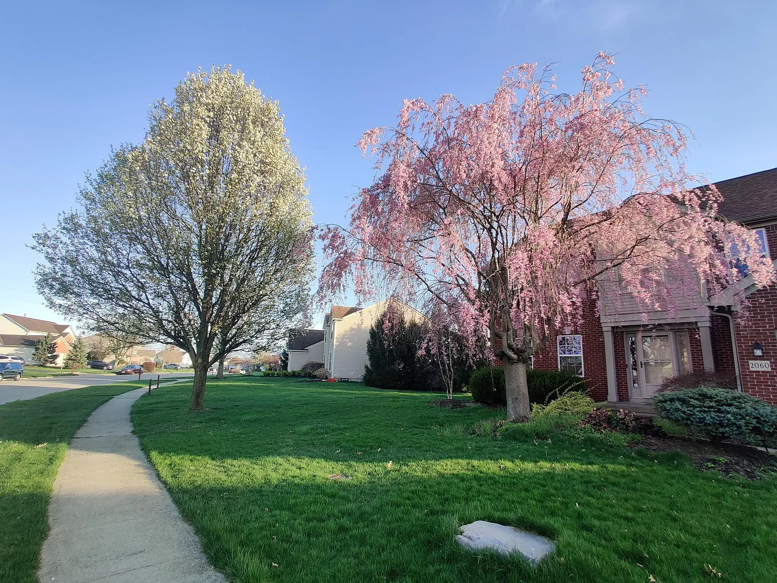 4 bed, 2.5 bath, 2843 sqft, $2,850 — Photo 2