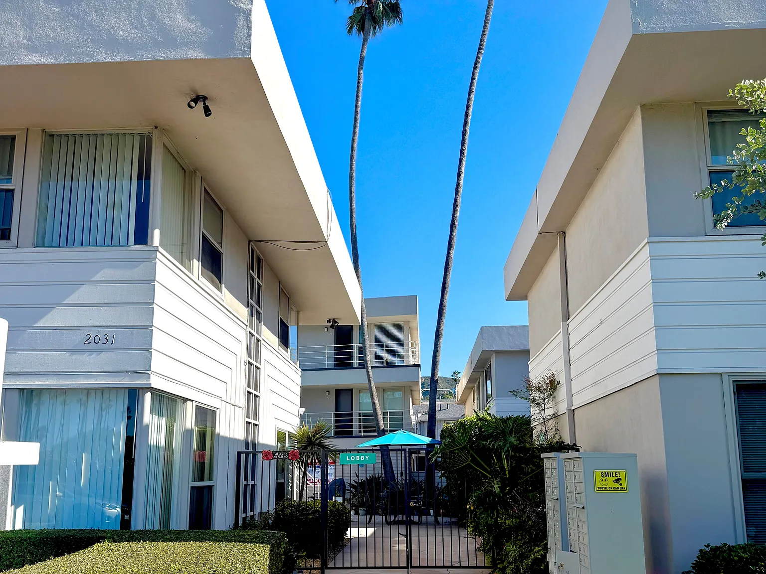 1 bed, 593 sqft, $3,300 — Photo 3