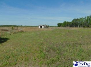 1944 High Cotton St, Darlington, SC 29532