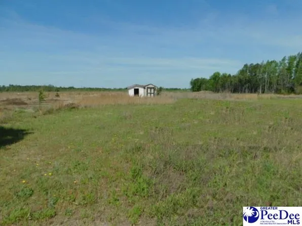1944 High Cotton St, Darlington, SC 29532