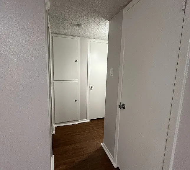 Juniper Springs Apartments — Photo 79