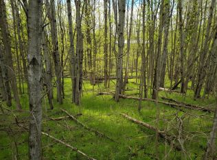 LOT 56 Linksview Way, Gladwin, MI 48624