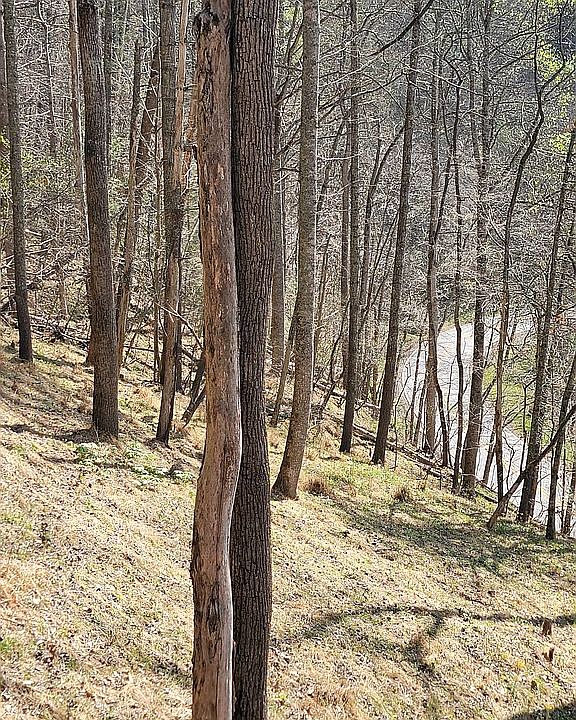 1st image of 9879 Jacks Creek Rd