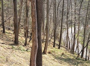 9879 Jacks Creek Rd, Green Mountain, NC 28740