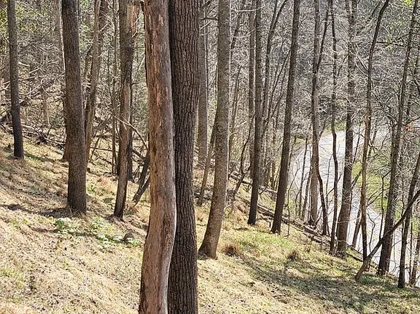 9879 Jacks Creek Rd, Green Mountain, NC 28740