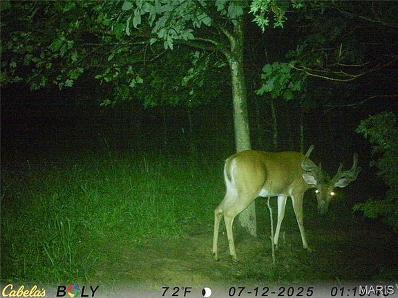3rd image of 9821 County Road 458