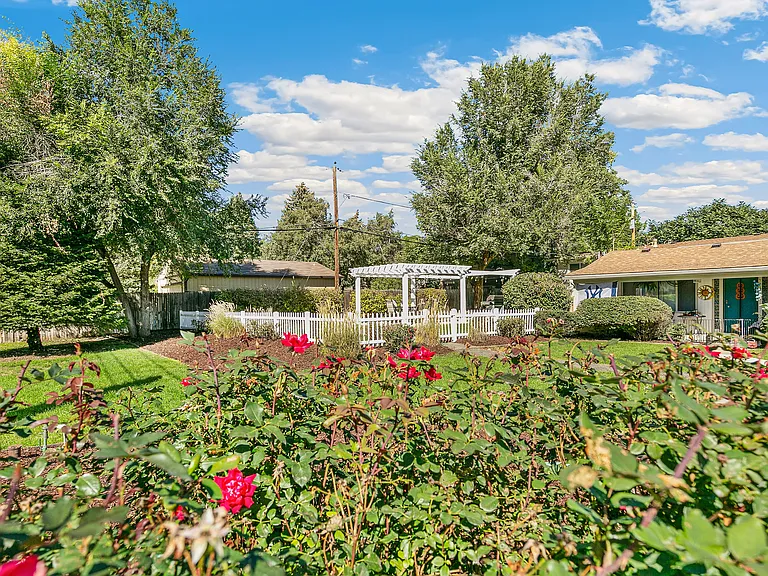 Charming garden view with vibrant red roses, lush green lawn, and a cozy cottage with a welcoming pergola under a bright blue sky.