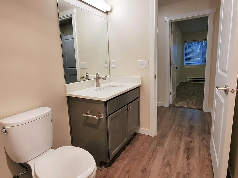 Updated Guest Bath