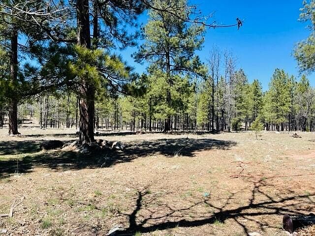 1568 Pine Canyon Dr, Happy Jack, AZ 86024 | MLS #88346 | Zillow