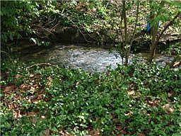 Creek in your backyard