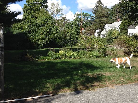 side yard w flower bed