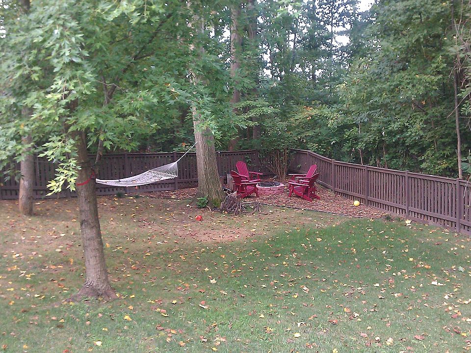 SW corner of yard - Fire pit and hammock